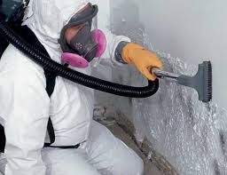 Mold Documentation for Insurance Claims in Mcrae Helena, GA